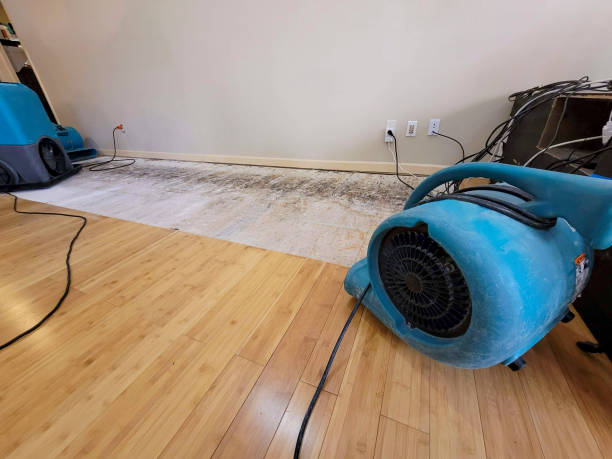 Professional Flood Damage Cleanup technician working in Esmond, IL